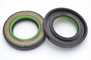 Simering N 31x51x8.5, TAuy, L44