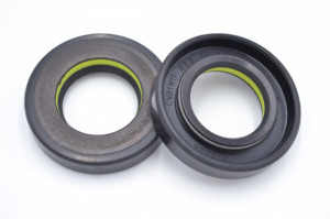 Simering R1 TCS 23.5x42x8.5, TIy, D53