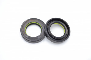 Simering R1 TCS 24.5x39.5x8.5, TIy, F01,