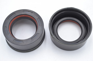 Simering R1 TG 25.5x38/40x8.5/17.7, TIz, G34, F00535X