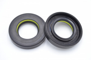 Simering TCS 23x41x8.5, TIy, D20