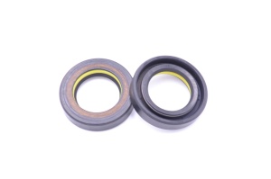 Simering TCS 24x39x8.5, TIy, E34