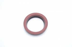 Simering TG 22.21x28.9x5.2/6.5, M, C55