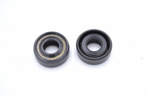 Simering TG 9x19.05x7.3, BPu, A01, F00650