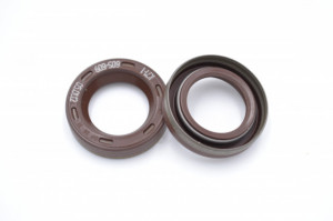 Simering FKM K 20*31*7.3, CM BIg, B49, 20X31X7,3, 1909509, F01056