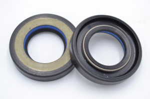 Simering N 24x42x8, TIBIy, E59