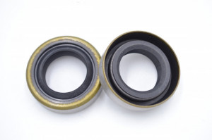 Simering NK 18x30x8, CMBPI, A35, F01244