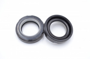 Simering NK 20x32x8.5, TASRuz, B55, F00217