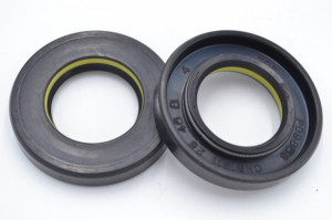 Simering TCS 26x46x8, TIy, H24, F00400A