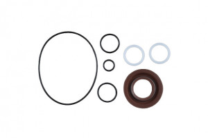 Kit pompa DAF 80 VICKERS VT77V 19F 3T12224, 19F