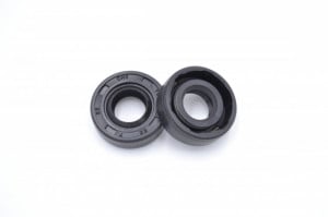 Simering CHO 10x22x7, BPI, A03
