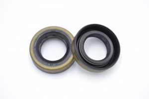 Simering CHO 17*29*8, CM BPI, A23, 17X29X8, 0209087,