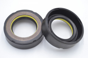 Simering N 27.7x44x13.5, TIuy, I52