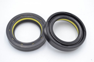Simering N 29*42*8.5, TI BIy, K02, 29X42X8,5, 0131841,