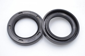 Simering NK 25.4x38.18x6.35, BPI, G30