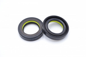 Simering R1 TCS 23.5x37x8.5, TIy, D43