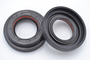Simering R1 TGE 24.5x38.7/45x6.5/11.5, TIgz, E89, F00488X