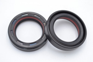 Simering R1 TGE 27.2x39x8.5, TIuz, H87, F00128X