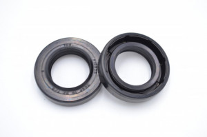 Simering TCS 19x32x7/8, BP2BI, A81