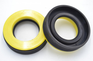 Simering TCS 25x43x10/12.5, ATgy, G24