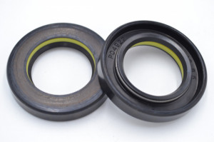 Simering TCS 29.5*48*8.5, TI y, K24, 29.5X48X8.5, 3305584,