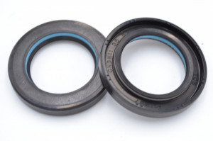 Simering TCS 35x53x8, TIgy, M61, F01446