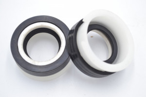 Simering HSS 24*39*8.5/16.5, TN BIg, E35, 24X39X8,5/16,5, 2100019,