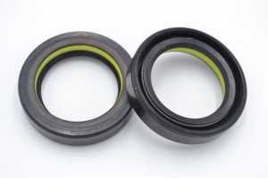 Simering R1 TCS 27.2x39x8.5, TIy, H88