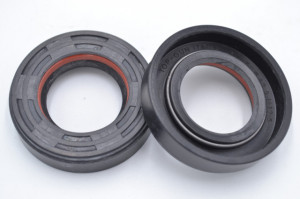 Simering R1 TGE 24.5x42.5x12.5, TIuz, F03, F00120X