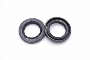 Simering TCS 20*30*5/6, BP BI, B41, 20X30X5/6, 3302121, F01159A