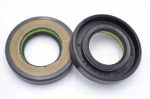 Simering TCS 22.5*41*8.5, TI yz, C60, 22.5X41X8.5 3308784,
