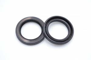 Simering TCS 23.5x32.5x5/5.5, BPBIg, D33