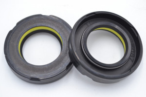 Simering TCS 24.99x43x9, TIuy, F15