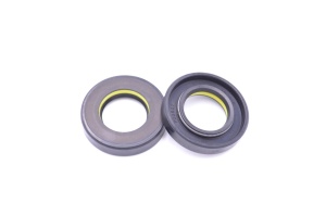 Simering TCS 24x43x8.5, TI, E70