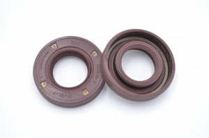 Simering FKM SKT 17x32x7, BPISRDg, A25