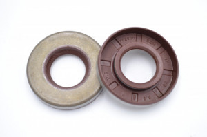 Simering FKM TCS 17*36*6.6, CM BISRD, A27, 17X36X6.6, 3314221,