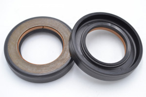 Simering FNI 32x52.4x10, TIguyz, M18, F00581