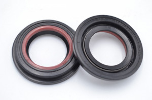 Simering N 25x37.6/41.2x7.3, TNy, F56