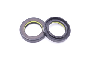 Simering R1 TCS 29.5x45.5x8.5, TIy, K22