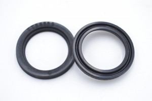 Simering TT 25x33x5.5, M2BI, F16, F00294