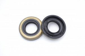Simering CHO 16*30*6.2, CM BPISRS, A18, 16X30X6,2, 0211478,
