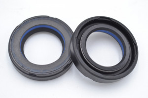 Simering N 25x39.5x8.5, TIuy, F83