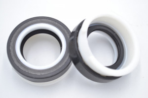 Simering OEM CFW 24x39x8.5/16.5, TN2BIz, E38, F00397
