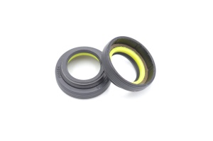Simering R1 TCS 21.5x34.3x7/12, TIAEgy, C08