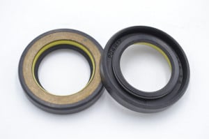 Simering R1 TCS 24.5x37.6x7.5, TIy, E85, F01429