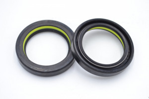 Simering R1 TCS 29.5x40x7, TIy, K20
