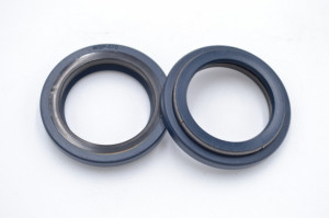 Simering R1 WSP 24.5x35x3.8/6.5, TNAE, E81, F00135X