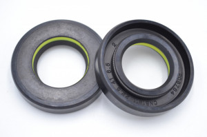 Simering TCS 22.5*41.1*8.5, TI y, C60, 22,5X41,1X8,5, 3301525X, F01525X