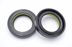 Simering TCS 24x36x8.5, TIy, D77