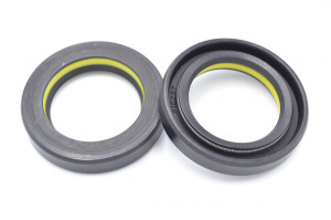 Simering TCS 31*46*8.5 TI y, L40, 31X46X8.5, 3318287, 218287